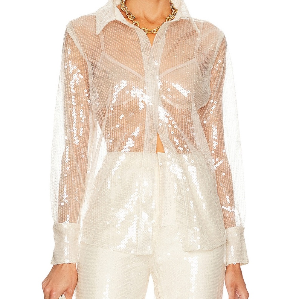 Elegant Sheer Sequin Button Down Shirt